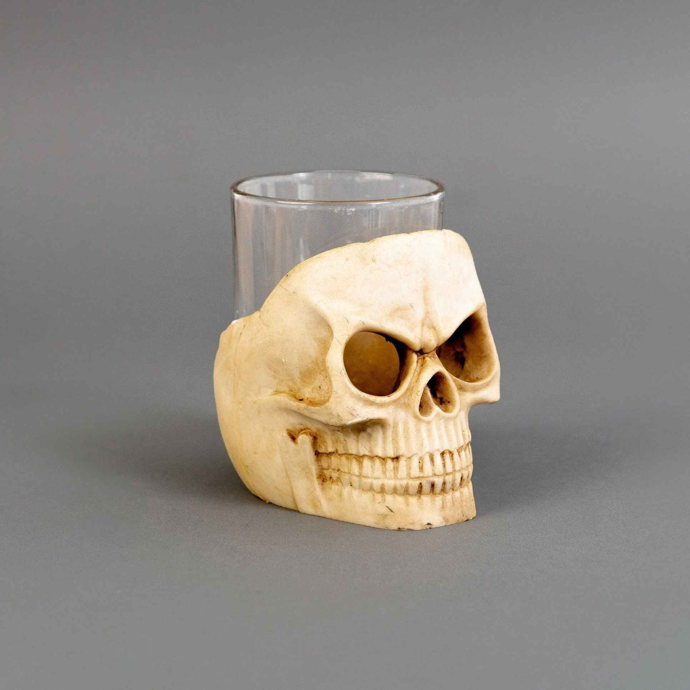 Skull Decor